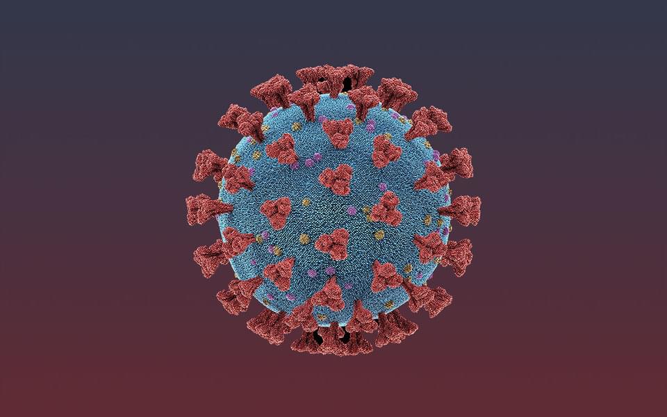 додаток визначає коронавірус по голосу