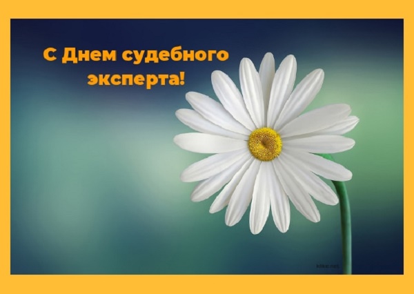 поздравления в День судебного эксперта Украины