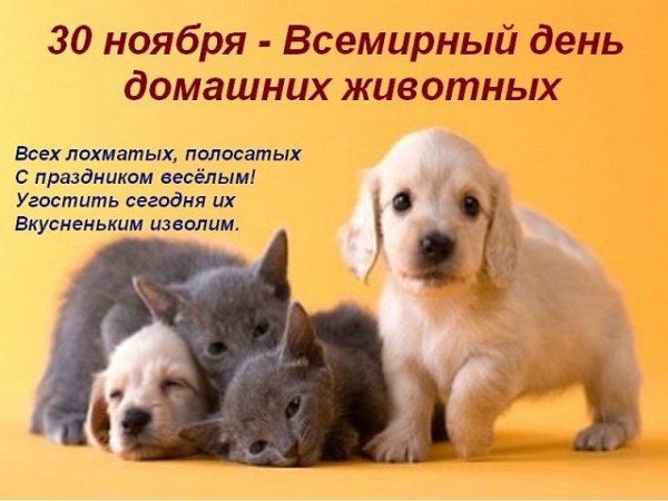 Всемирный день домашних животных открытки