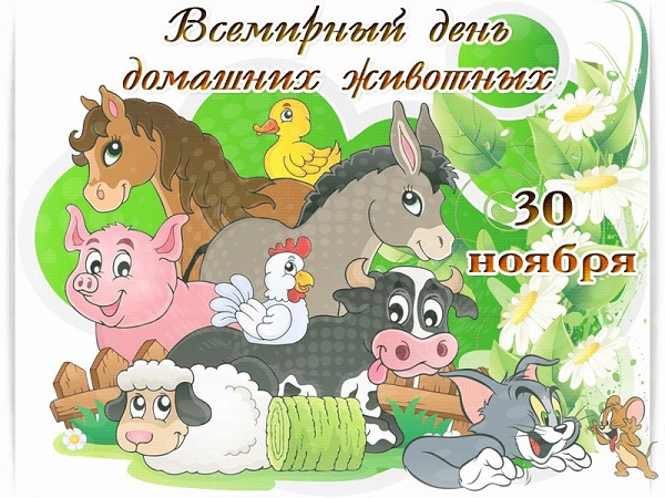 поздравления на Всемирный день домашних животных