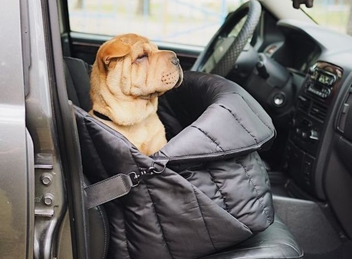 сумка переноска для собаки