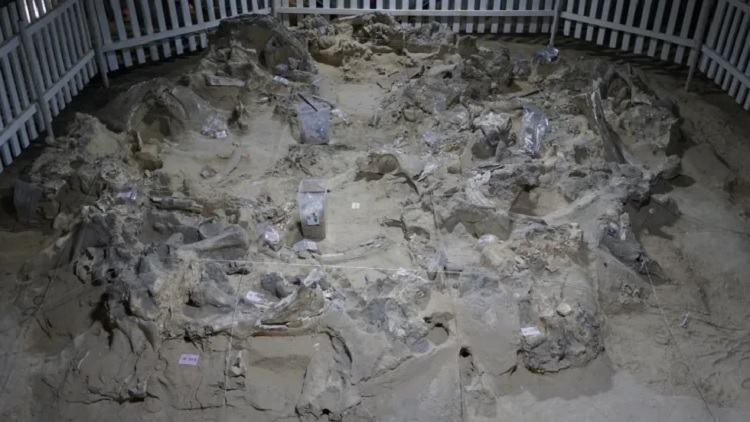 
Житла з кісток мамонта